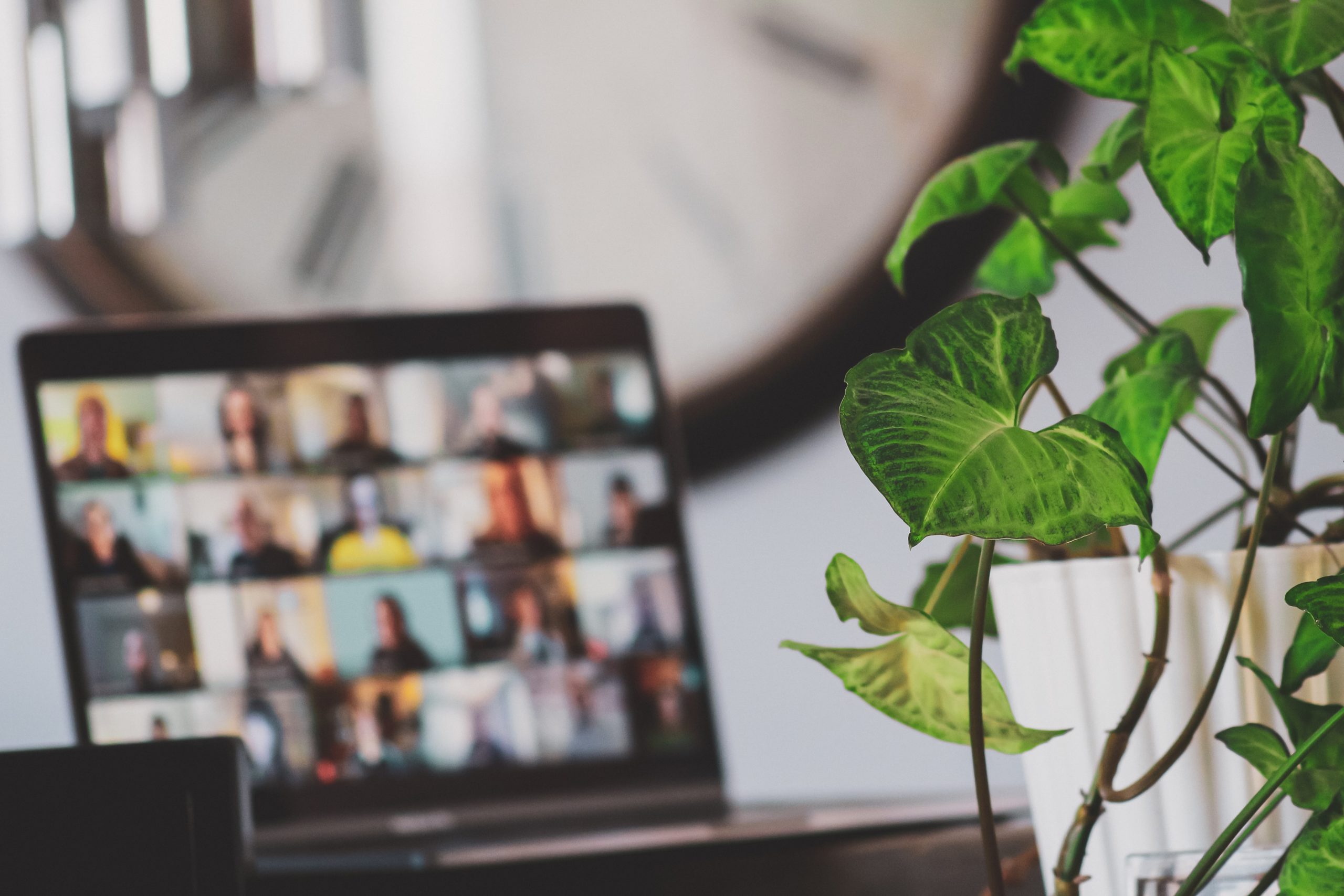 Comment organiser le travail à distance ?